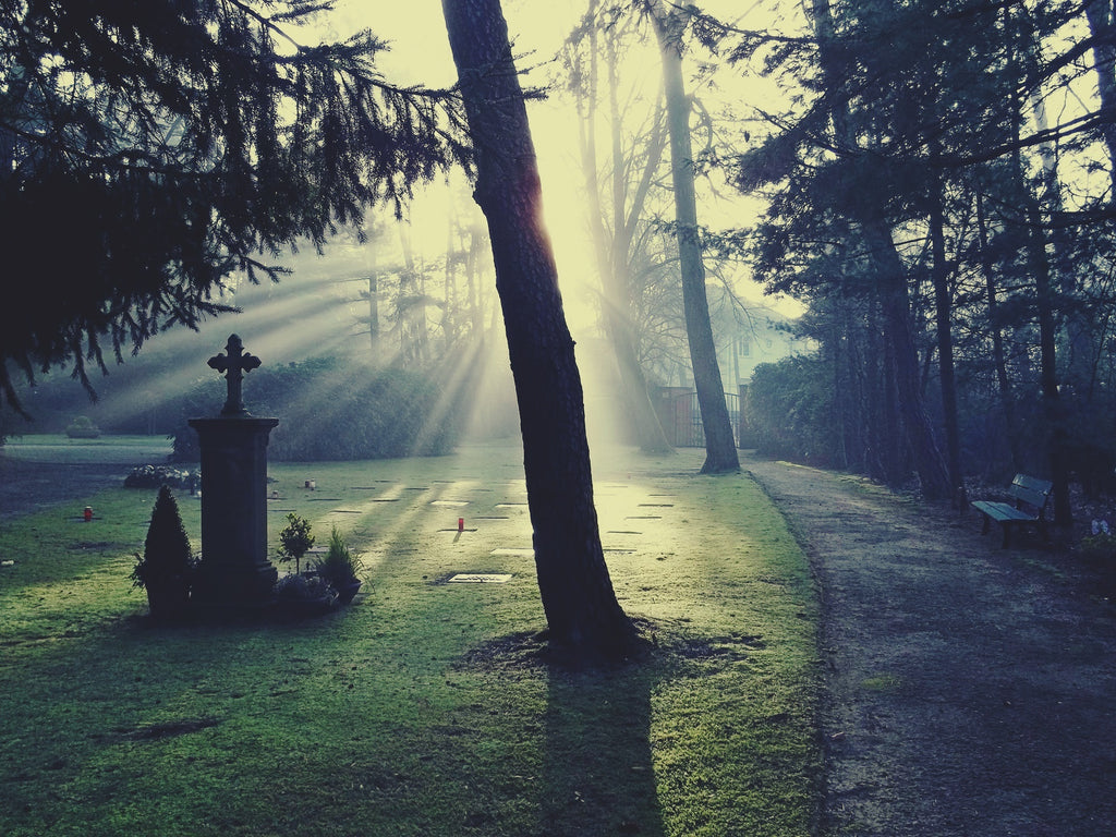 Why Do Characters Die?